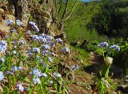 PIZZO di SPINO ad anello con croce di bracca da Pregaroldi di Bracca-8apr26  - FOTOGALLERY